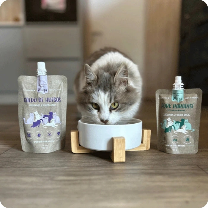 Gato bebiendo suplemento alimenticio natural caldo de huesos Winga