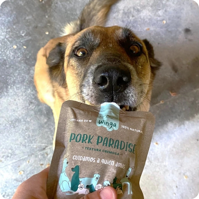Perrito comiendo snack untable Pork Paradise Winga