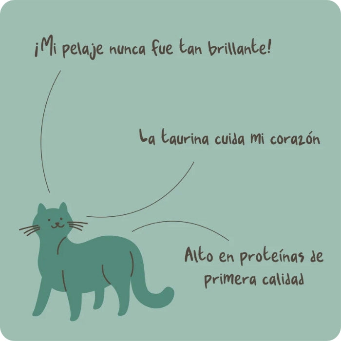 Caracteristicas snack untable para gatos Pork paradise Winga